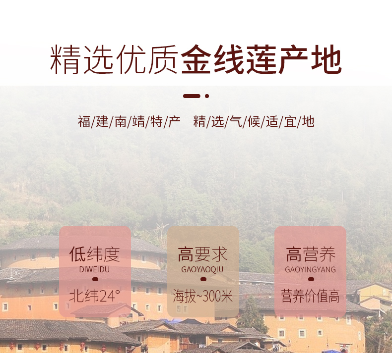 正宗林下<a href=http://www.it361.cn/ target='_blank'>金線蓮</a>干品