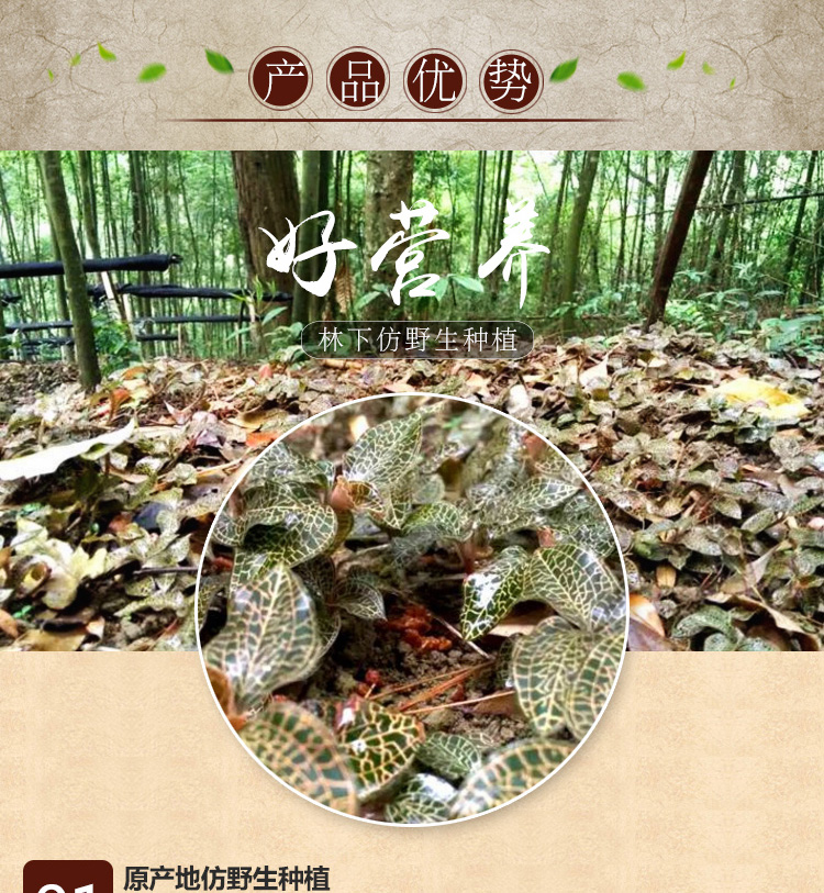 <a href=http://www.it361.cn/ target='_blank'>金線蓮</a>干品 20克禮盒裝