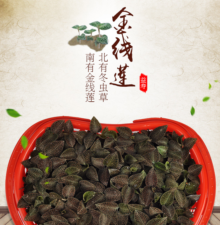 <a href=http://www.it361.cn/ target='_blank'>金線蓮</a>鮮品 籃裝
