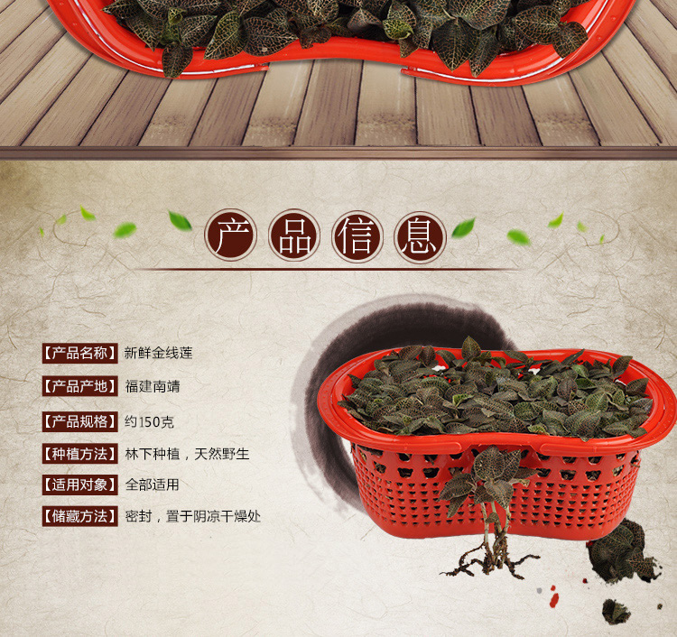 <a href=http://www.it361.cn/ target='_blank'>金線蓮</a>鮮品 籃裝